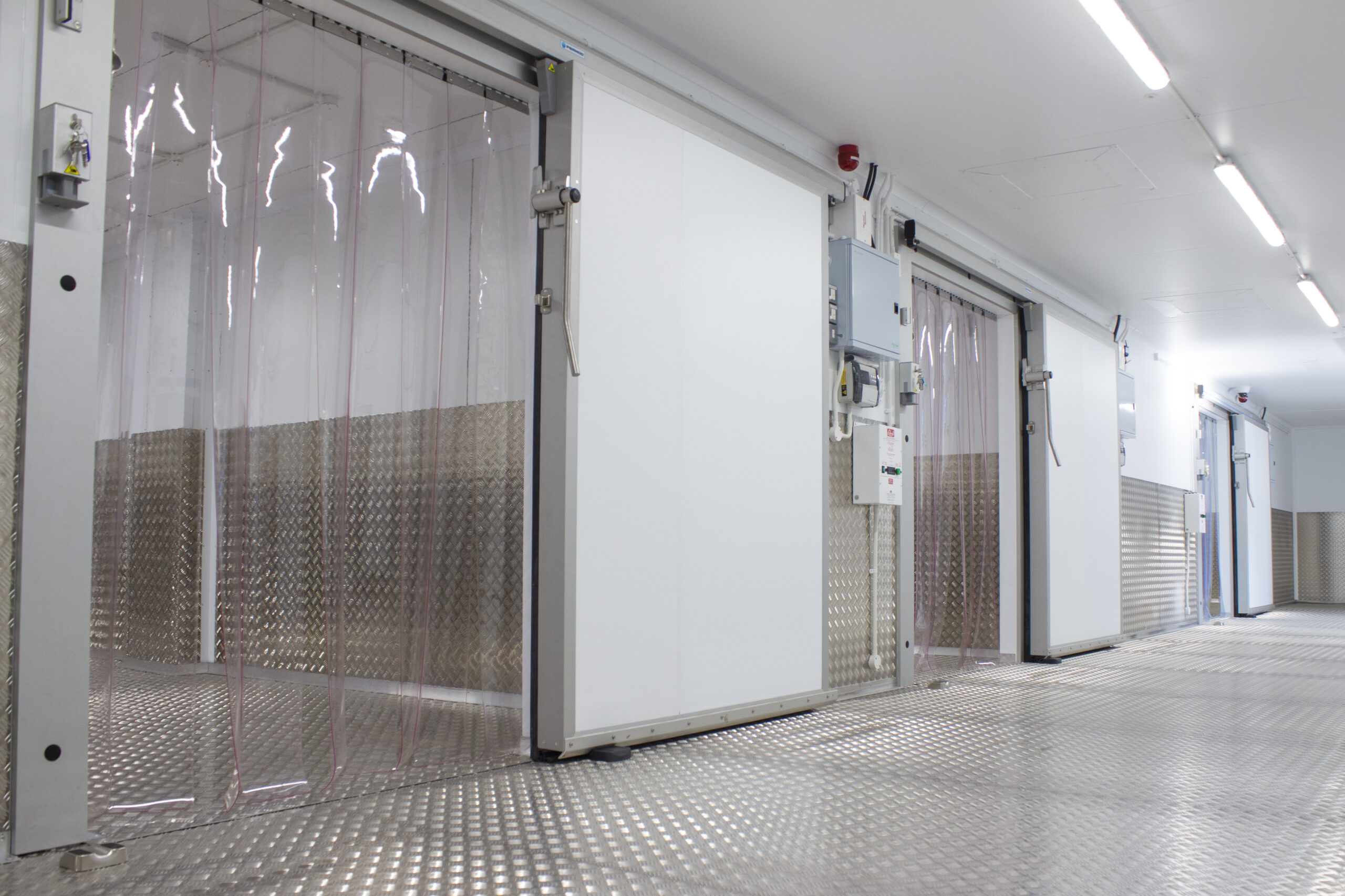 Chill to Succeed: Cold Storage Strategies for Business Growth