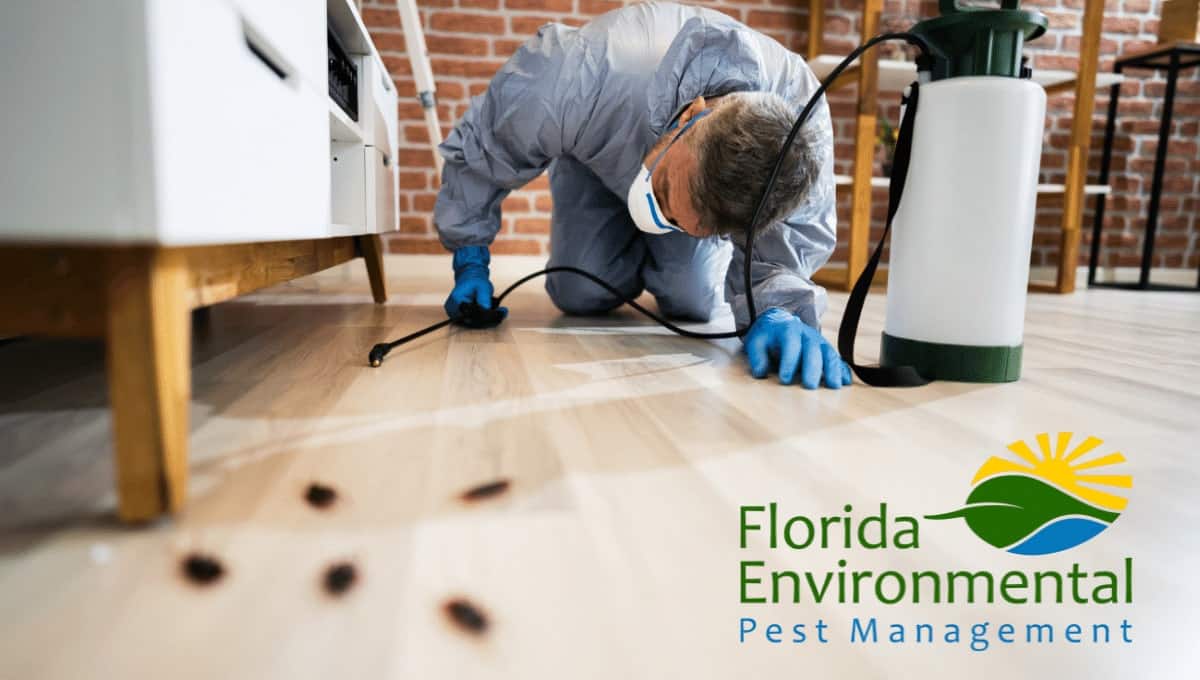 Castle Hill's Specialist Rodent Eradication Services