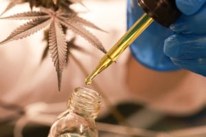 Best CBD Oil Canada: Reviews and Recommendations