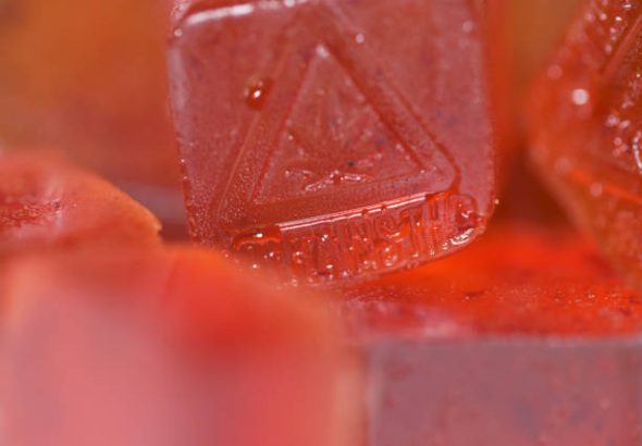 Elevate Your Snack Game The Rise of THC Gummies in Wellness